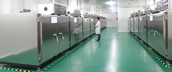 Hermitin Optical Factory Facility 2