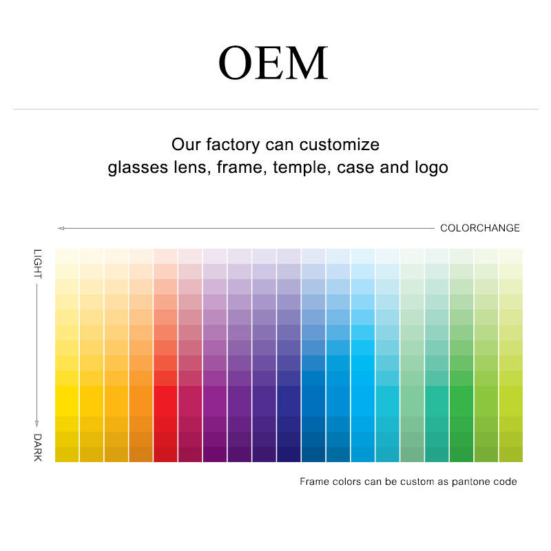 Wholesale Bulk Promotional Men Women Pc Frame Pc Lens Customer Custom Print logo Shades Sun Glasses Custom Sunglasses with logo Custom Eyewear