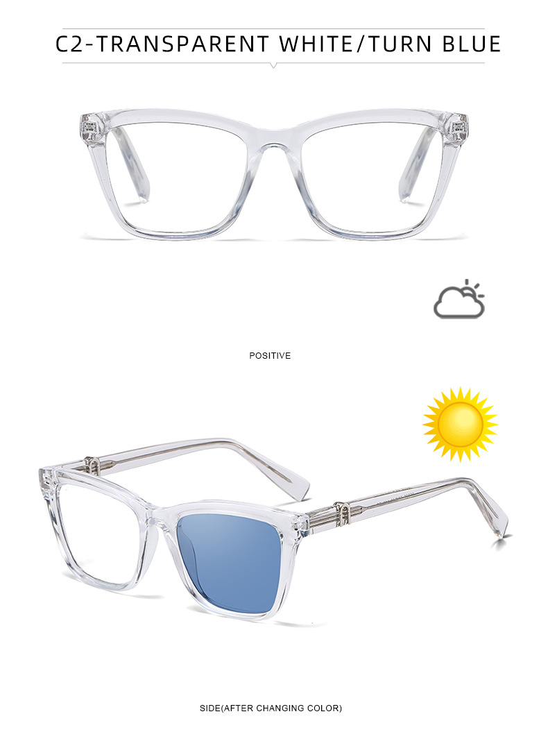 New Women's Cat-Eye Photochromic Sunglasses – Unique Trendy Premium Style for Outdoor UV Protection Details and Specifications