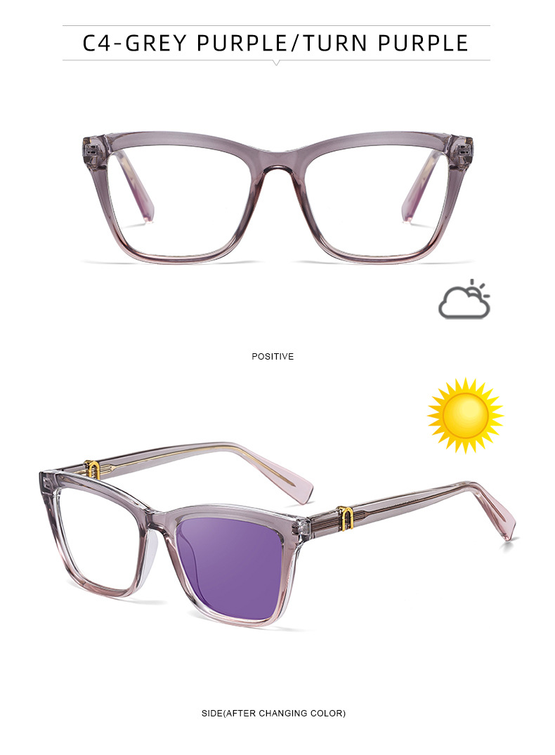 New Women's Cat-Eye Photochromic Sunglasses – Unique Trendy Premium Style for Outdoor UV Protection Details and Specifications