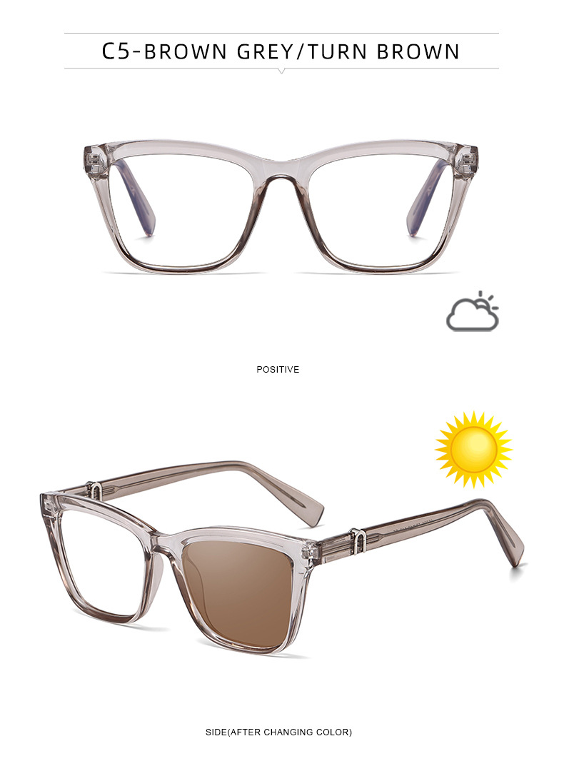 New Women's Cat-Eye Photochromic Sunglasses – Unique Trendy Premium Style for Outdoor UV Protection Details and Specifications