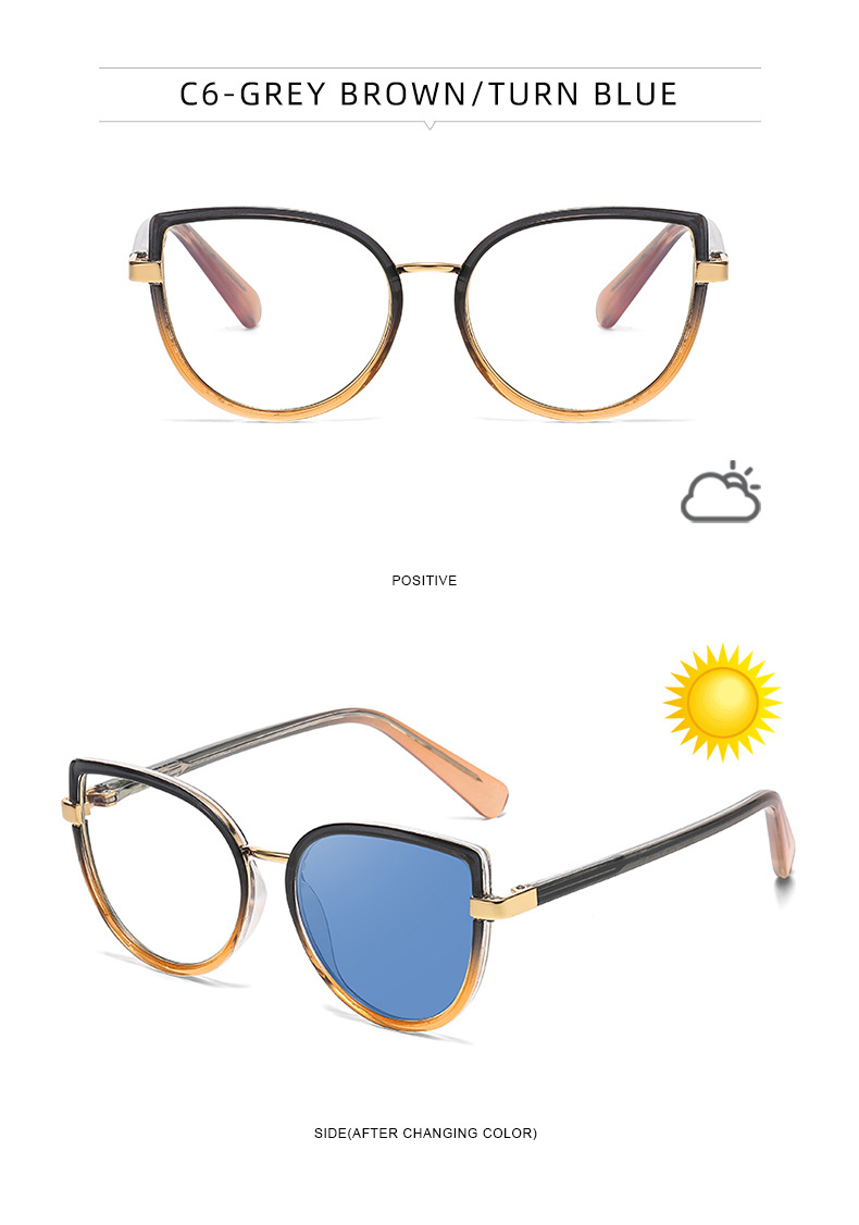 2026 New Cat-Eye Photochromic Optical Frames for Women – Personalized Versatile High-End Fashion Sun Glasses with UV Protection Details and Specifications
